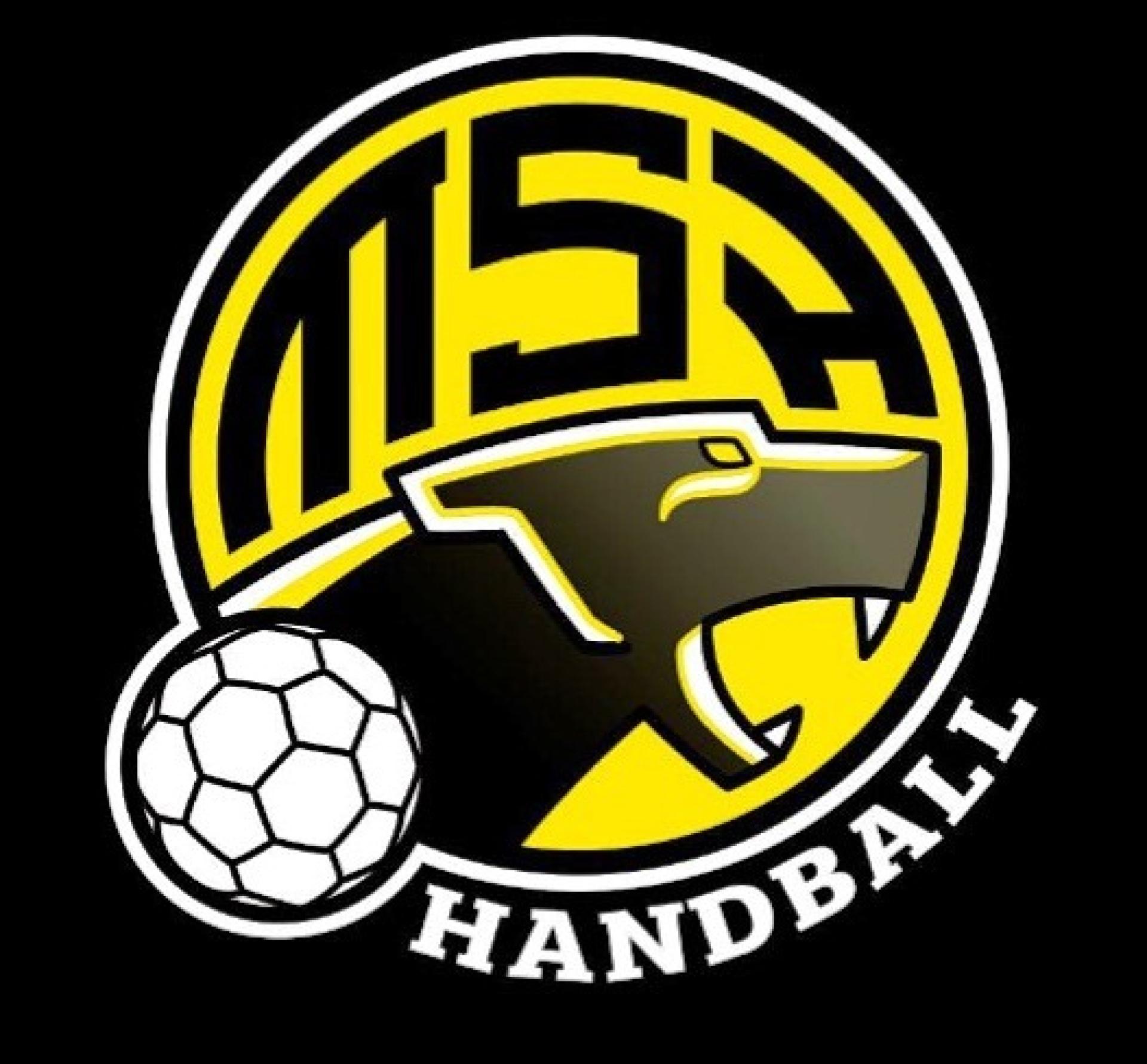 Logo Monsport HandBall